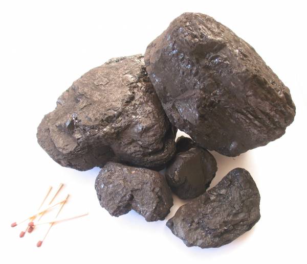 Traditional house coal