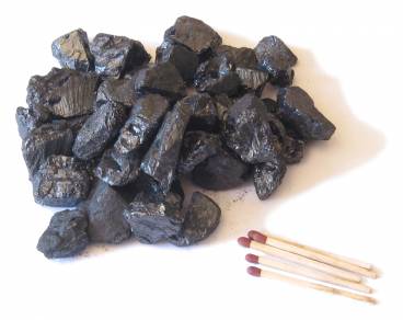 Anthracite Beans